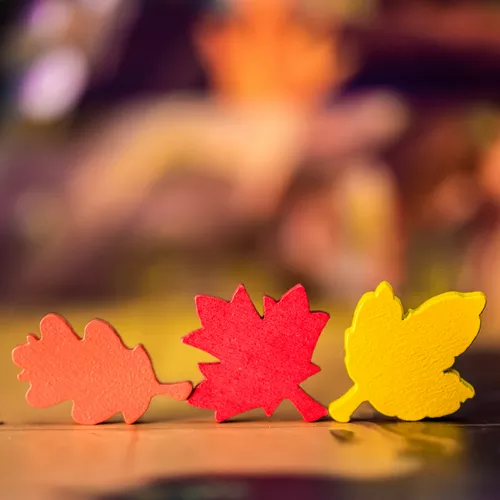 Test du jeu de famille Bosk, détail sur les feuilles